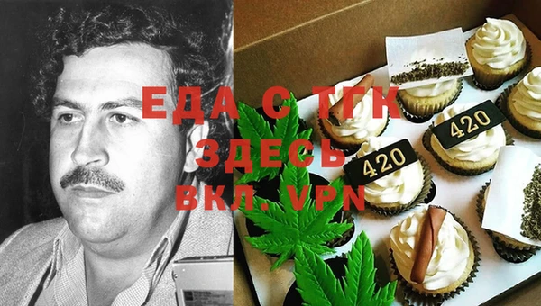 дживик Сясьстрой